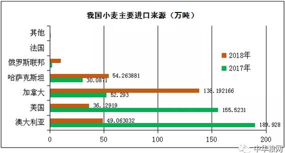 我国以小麦为食的人口_小麦简笔画