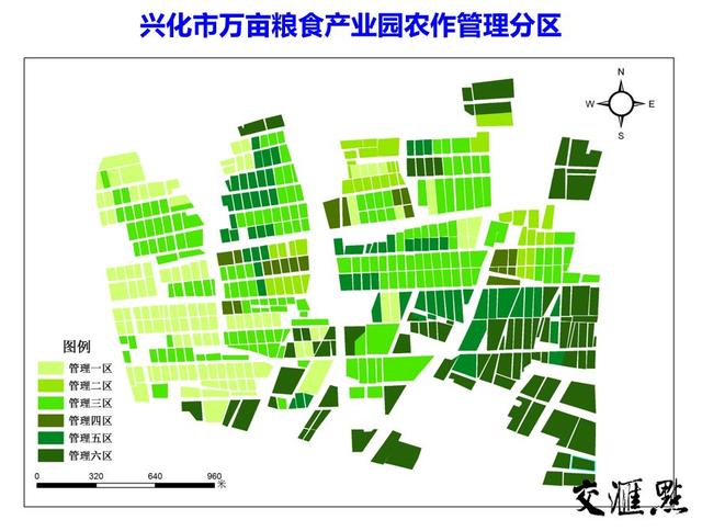 兴化人口数_兴化油菜花(2)