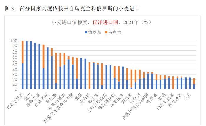 权威俄乌战争对全球粮食安全带来的影响