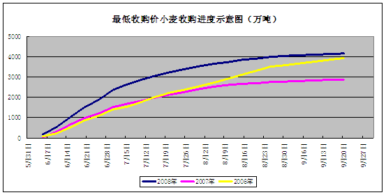 我国以小麦为食的人口_小麦简笔画